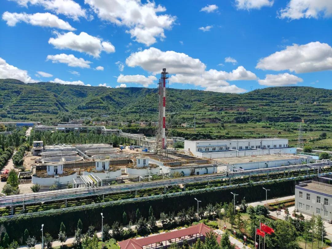 1625833401184684.jpeg 1625833401184684.jpeg