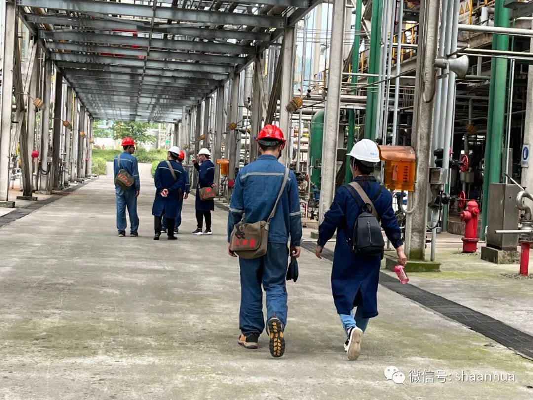 1652782217337252.jpeg 1652782217337252.jpeg