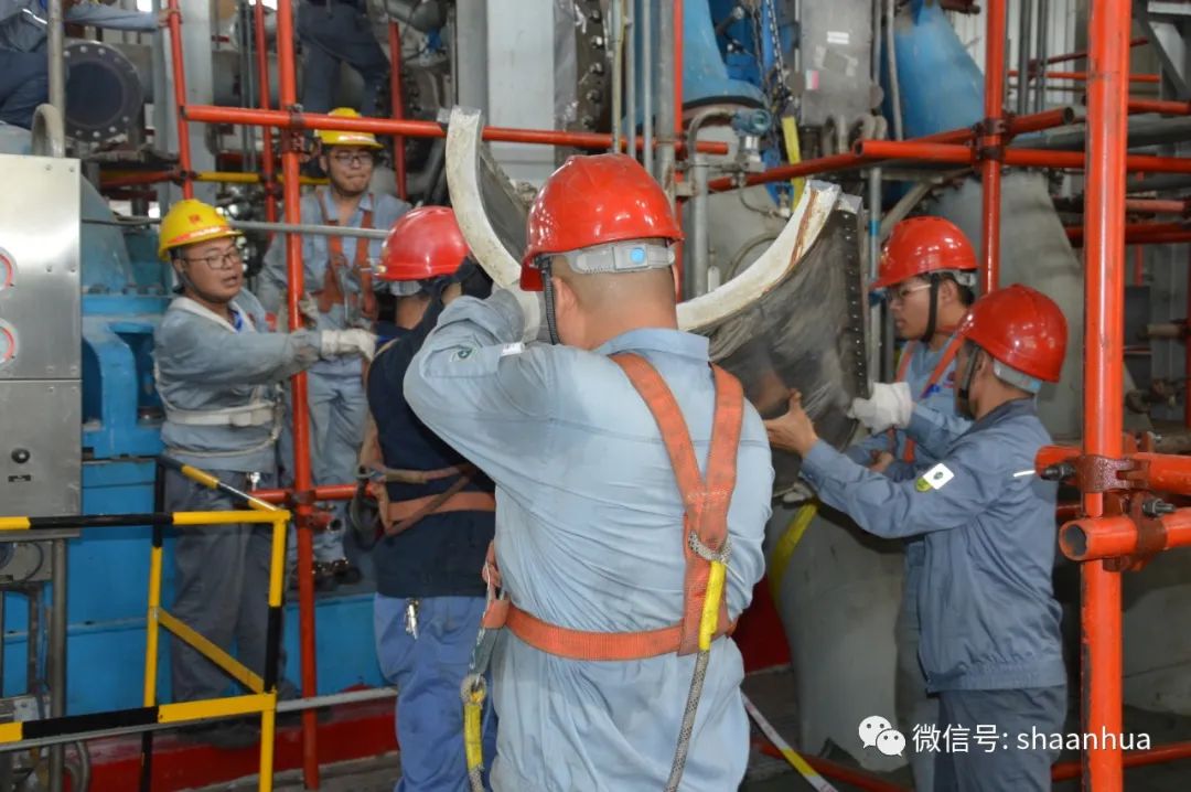 1656158973189407.jpeg 1656158973189407.jpeg