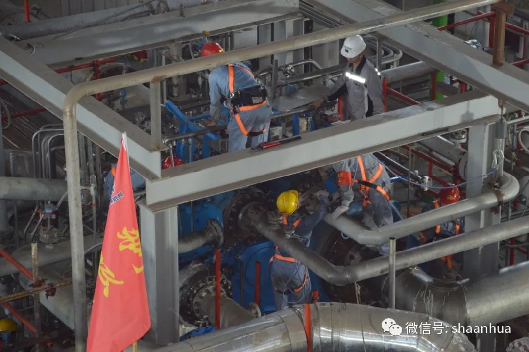 1656158980369416.jpeg 1656158980369416.jpeg